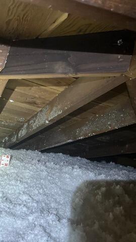 Attic Restoration, New Attic Access Installation, and Gable Vent Re-Screening in Tulare, CA